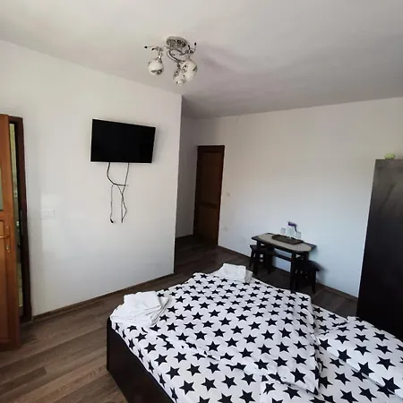 Guest house Pensiunea Cristina 3*
