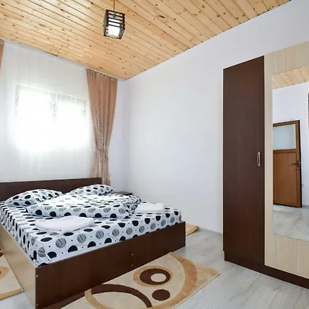 Pensiunea Cristina Guest house Viseu de Sus