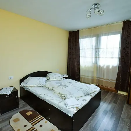 Pensiunea Cristina 3* Viseu de Sus