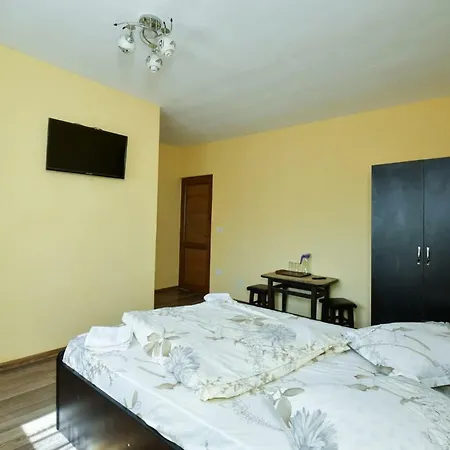 Guest house Pensiunea Cristina